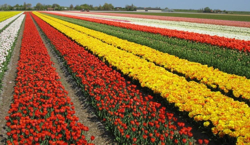 Vila Zoet En Zilt Sint Maartensvlotbrug Exteriér fotografie